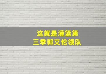 这就是灌篮第三季郭艾伦领队