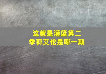 这就是灌篮第二季郭艾伦是哪一期