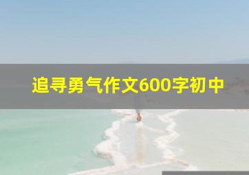 追寻勇气作文600字初中