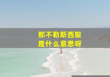 那不勒斯西服是什么意思呀