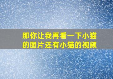 那你让我再看一下小猫的图片还有小猫的视频