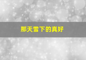 那天雪下的真好