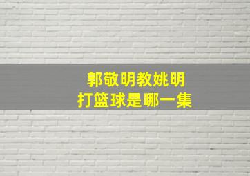 郭敬明教姚明打篮球是哪一集