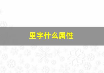 里字什么属性