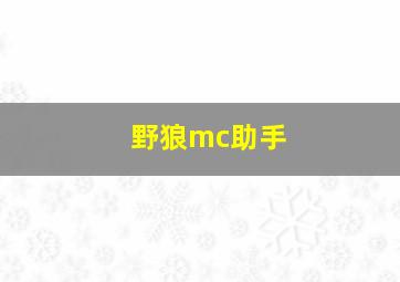 野狼mc助手