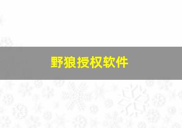 野狼授权软件