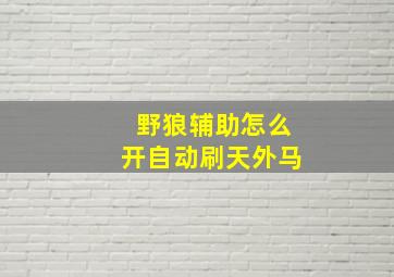 野狼辅助怎么开自动刷天外马