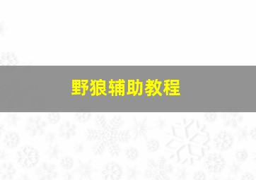 野狼辅助教程