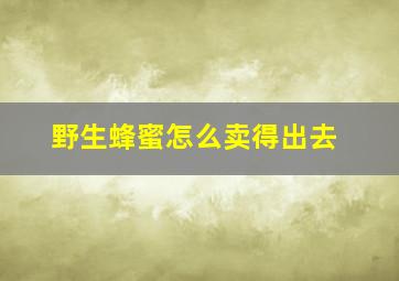 野生蜂蜜怎么卖得出去