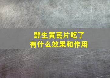 野生黄芪片吃了有什么效果和作用