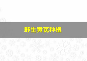 野生黄芪种植