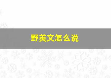 野英文怎么说