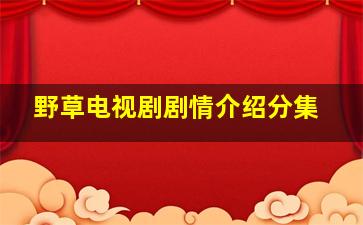 野草电视剧剧情介绍分集