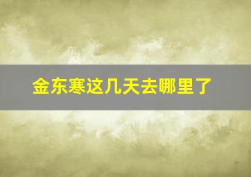 金东寒这几天去哪里了