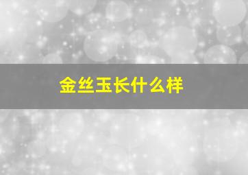 金丝玉长什么样