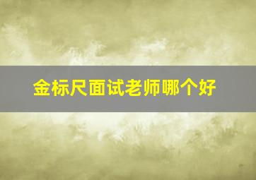 金标尺面试老师哪个好