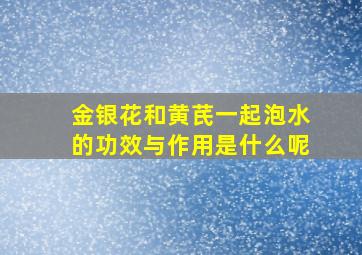 金银花和黄芪一起泡水的功效与作用是什么呢