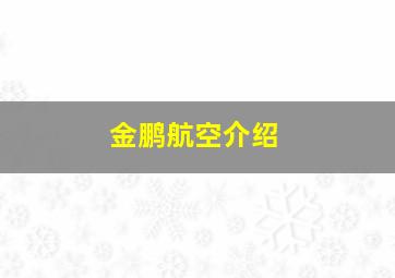 金鹏航空介绍