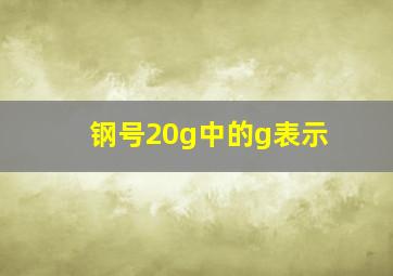 钢号20g中的g表示