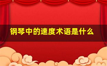 钢琴中的速度术语是什么