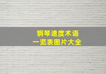 钢琴速度术语一览表图片大全