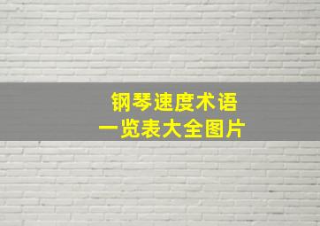 钢琴速度术语一览表大全图片