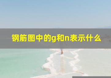 钢筋图中的g和n表示什么