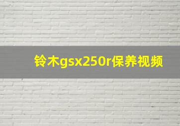 铃木gsx250r保养视频