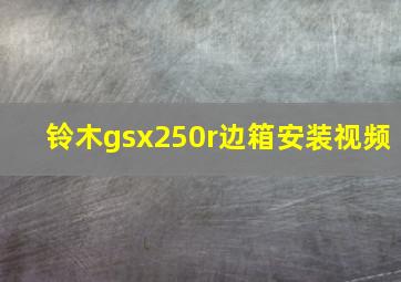 铃木gsx250r边箱安装视频