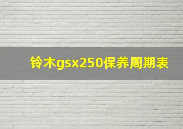 铃木gsx250保养周期表