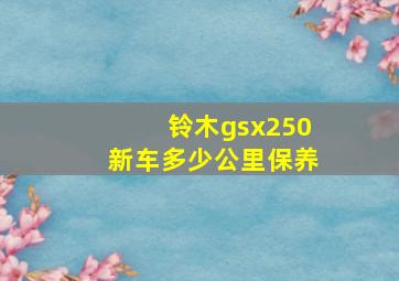 铃木gsx250新车多少公里保养