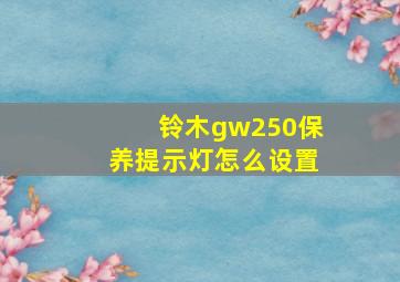 铃木gw250保养提示灯怎么设置