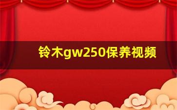 铃木gw250保养视频