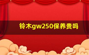 铃木gw250保养贵吗