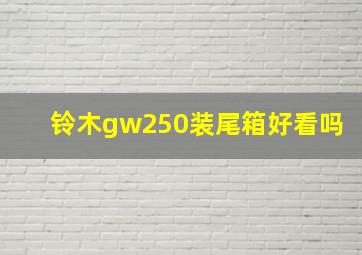 铃木gw250装尾箱好看吗