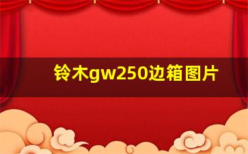 铃木gw250边箱图片