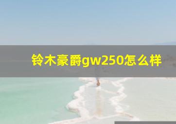 铃木豪爵gw250怎么样