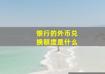 银行的外币兑换额度是什么