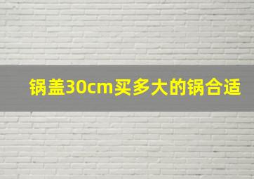 锅盖30cm买多大的锅合适