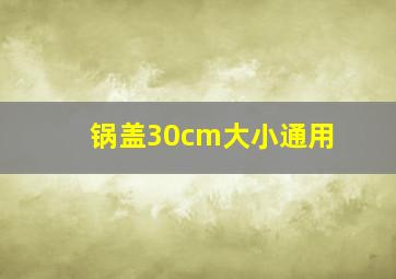 锅盖30cm大小通用