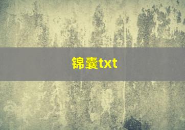 锦囊txt