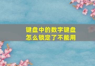 键盘中的数字键盘怎么锁定了不能用