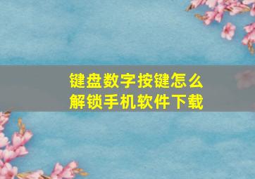 键盘数字按键怎么解锁手机软件下载