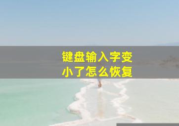 键盘输入字变小了怎么恢复