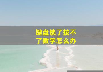 键盘锁了按不了数字怎么办