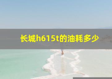 长城h615t的油耗多少