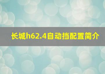 长城h62.4自动挡配置简介