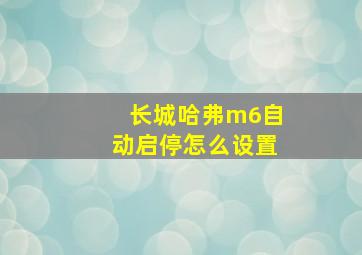 长城哈弗m6自动启停怎么设置