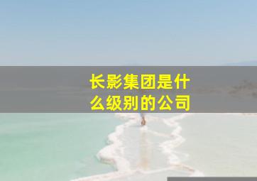 长影集团是什么级别的公司