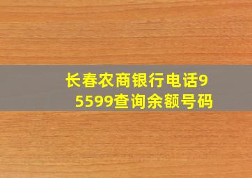 长春农商银行电话95599查询余额号码